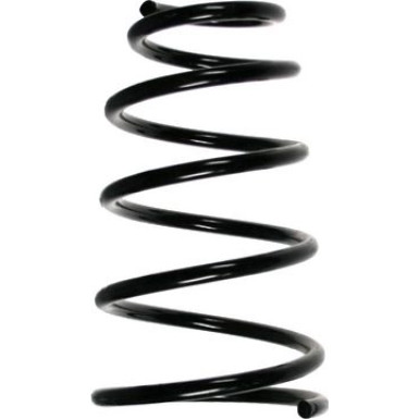 Spidan | Fahrwerksfeder | 49605