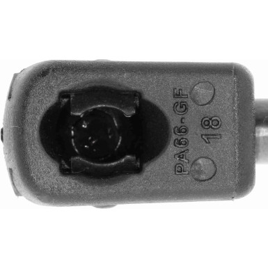 Vaico | Gasfeder, Koffer-/Laderaum | V10-4146