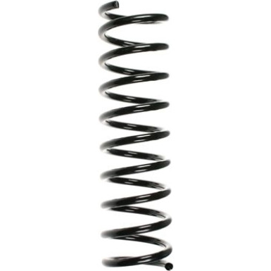Spidan | Fahrwerksfeder | 55109