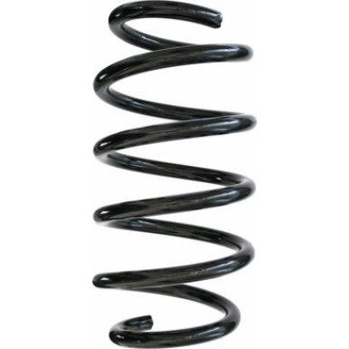 Spidan | Fahrwerksfeder | 87489
