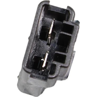 2250539 Kraftstoffpumpe