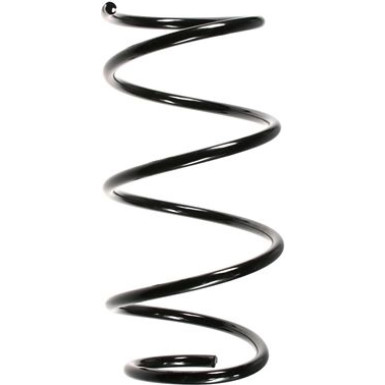 Spidan | Fahrwerksfeder | 49789
