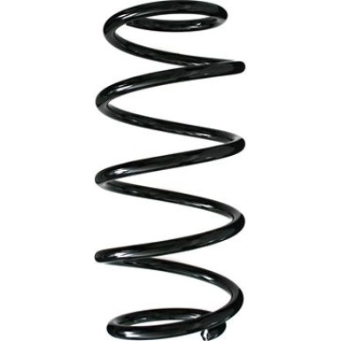 Spidan | Fahrwerksfeder | 55981