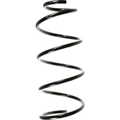 Spidan | Fahrwerksfeder | 49613