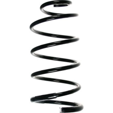 Spidan | Fahrwerksfeder | 56078