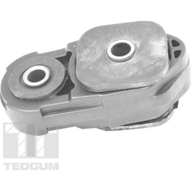 Tedgum | Lagerung, Motor | 00461492