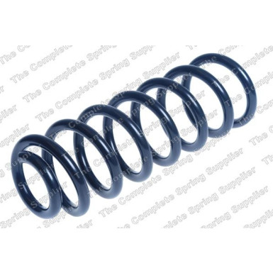 4266769 Fahrwerksfeder