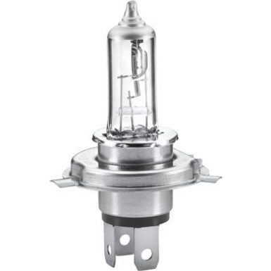 8GJ 223 498-221 Glühlampe, Nebelscheinwerfer PERFORMANCE UP TO 60%