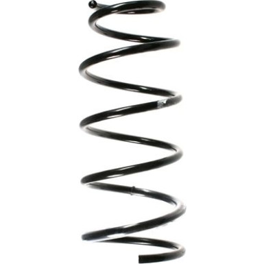 Spidan | Fahrwerksfeder | 55914