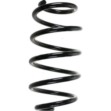 Spidan 2 x SPIDAN Fahrwerksfeder 56845