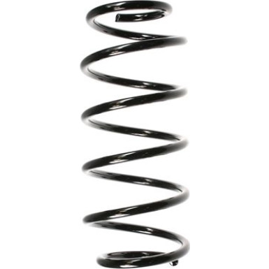 Spidan | Fahrwerksfeder | 48487