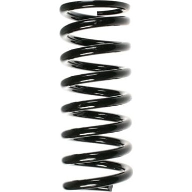 Spidan | Fahrwerksfeder | 49381