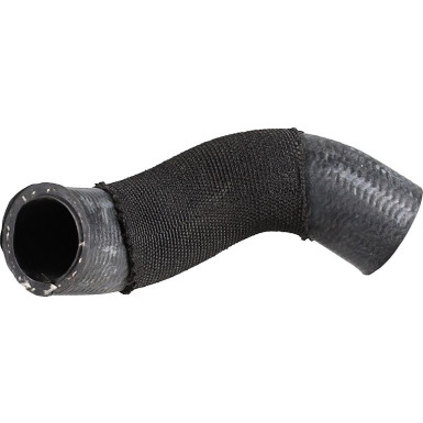 2421590 Kühlerschlauch 2421590 Kühlerschlauch