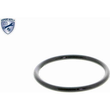 V15-99-2054 Thermostatgehäuse EXPERT KITS + V15-99-2054 Thermostatgehäuse EXPERT KITS +