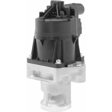Wahler | AGR-Ventil | 710559D