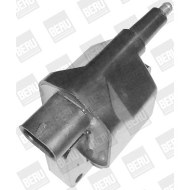 BorgWarner (BERU) | Zündspule | ZS394