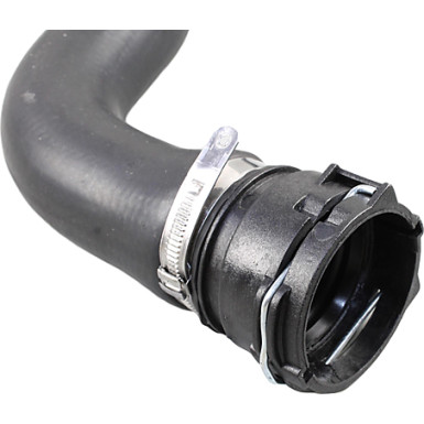 2420906 Kühlerschlauch