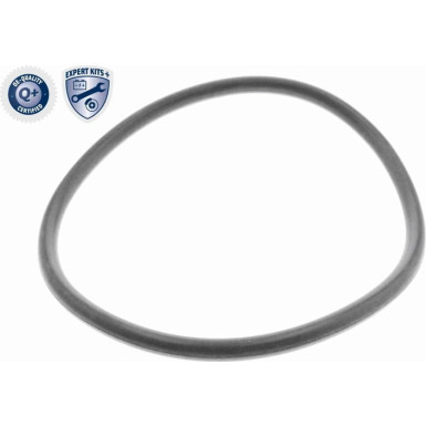 V10-0440-1 Hydraulikfilter, Automatikgetriebe EXPERT KITS +