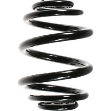 Spidan | Fahrwerksfeder | 56902