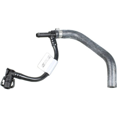 2420871 Kühlerschlauch