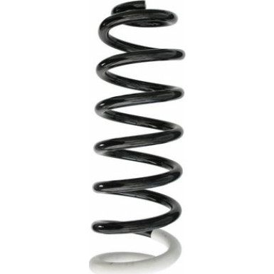 Spidan | Fahrwerksfeder | 87388