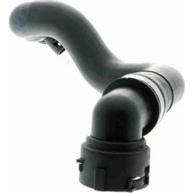 Vaico | Kühlerschlauch | V20-1762