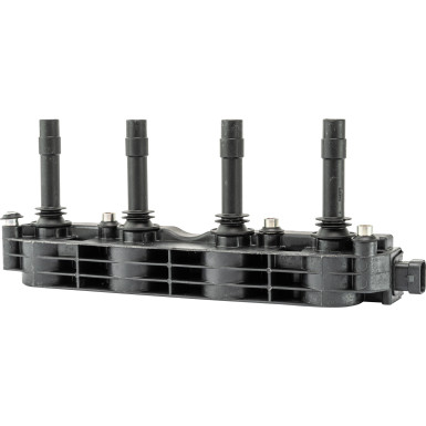 CE10000-12B1 Zündspule