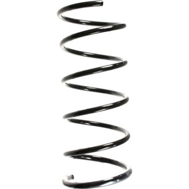 Spidan | Fahrwerksfeder | 49651