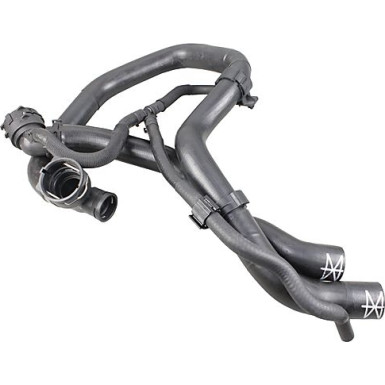 2421294 Kühlerschlauch 2421294 Kühlerschlauch