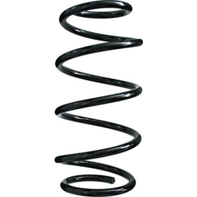 Spidan | Fahrwerksfeder | 55982
