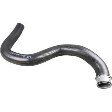 2420972 Kühlerschlauch