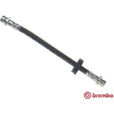 Brembo | Bremsschlauch | T 24 036