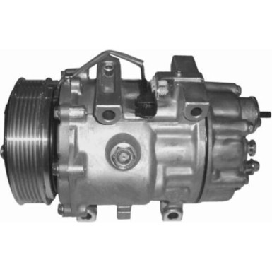 Mahle | Kompressor, Klimaanlage | ACP 769 000P