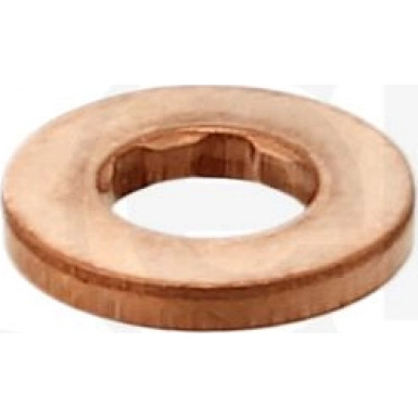 456.810 Dichtring, Common-Rail-Injektor