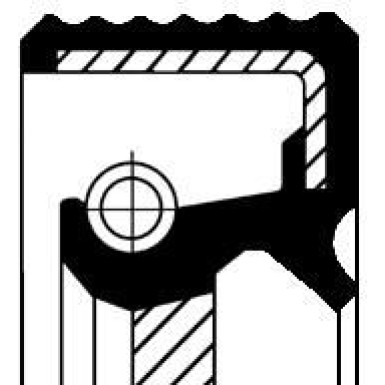 20015493B Wellendichtring, Differential