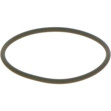 BOSCH | Dichtring | F 00N 201 306