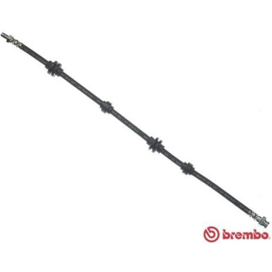 Brembo | Bremsschlauch | T 23 037