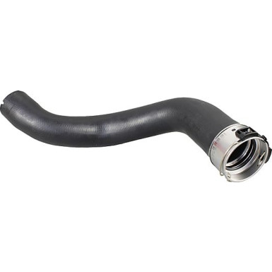 2400966 Ladeluftschlauch