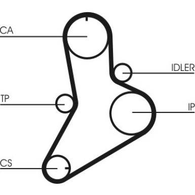 CT989 Zahnriemen