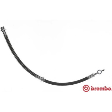 Brembo | Bremsschlauch | T 54 011