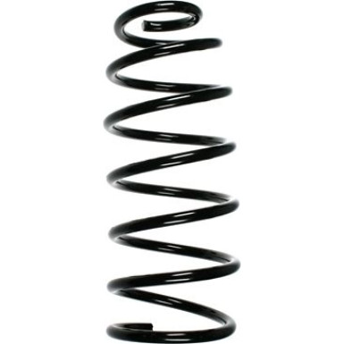 Spidan | Fahrwerksfeder | 55045