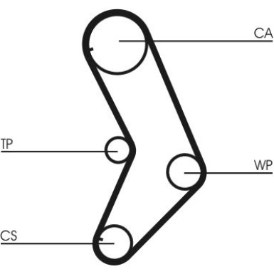 CT999 Zahnriemen