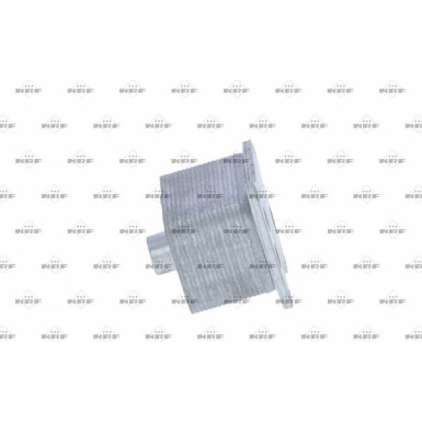 NRF | Ölkühler, Motoröl | 31358