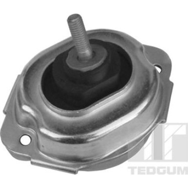 Tedgum | Lagerung, Motor | 00088547