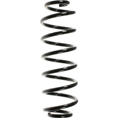 Spidan | Fahrwerksfeder | 56295