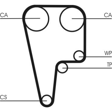 CT1125 Zahnriemen