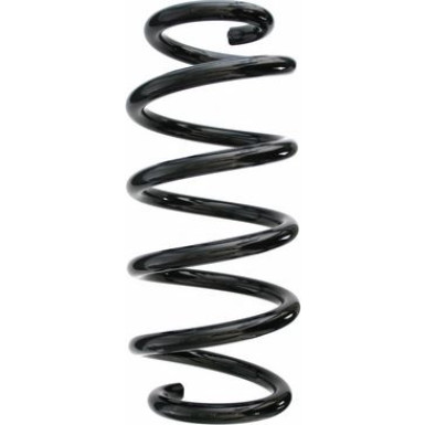 Spidan | Fahrwerksfeder | 87592