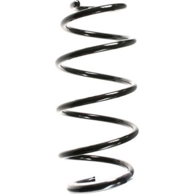 Spidan | Fahrwerksfeder | 55966