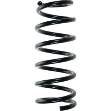 Spidan | Fahrwerksfeder | 55462