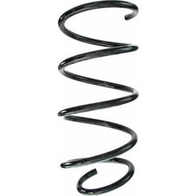 Spidan | Fahrwerksfeder | 87197